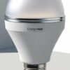 Chargerwale LED Bulb 18W (Cool White) - Image 2